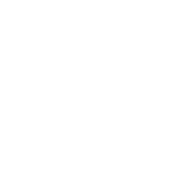 Brüggner Grill logo.